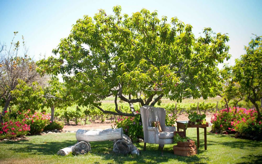 Rancho El Parral Villa San Marcos  Luaran gambar